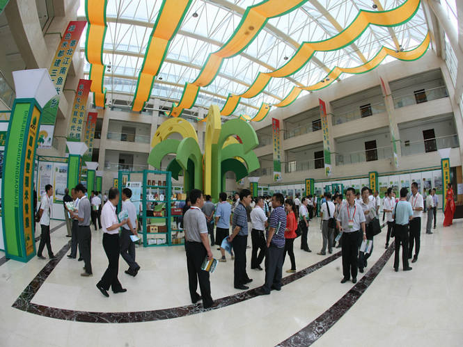 點(diǎn)擊瀏覽下一頁