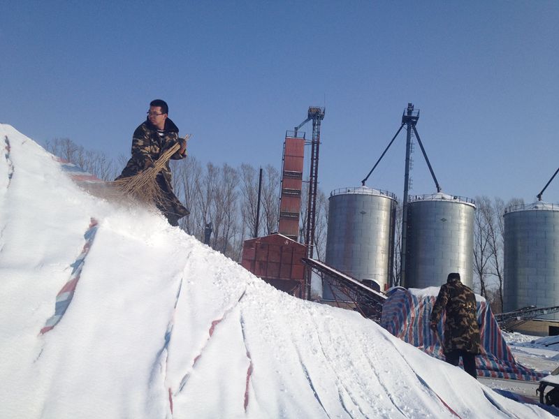 點(diǎn)擊瀏覽下一頁