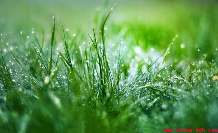 點(diǎn)擊瀏覽下一頁