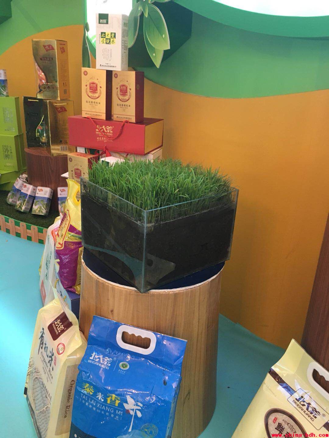 點(diǎn)擊瀏覽下一頁(yè)